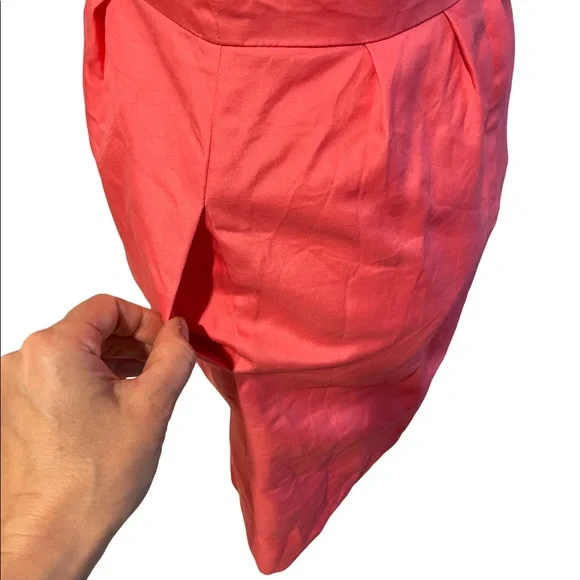 J. Crew Pink Sleeveless Silver Zip Back Above the Knee Sheath Dress Size 2P - Picture 7 of 16